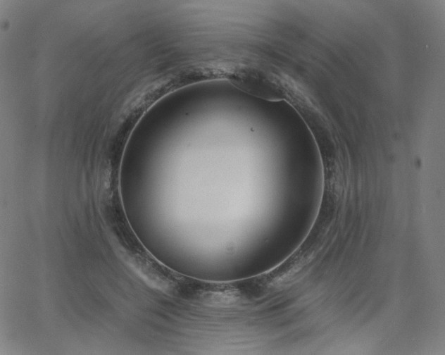 X0000063520548200601201435