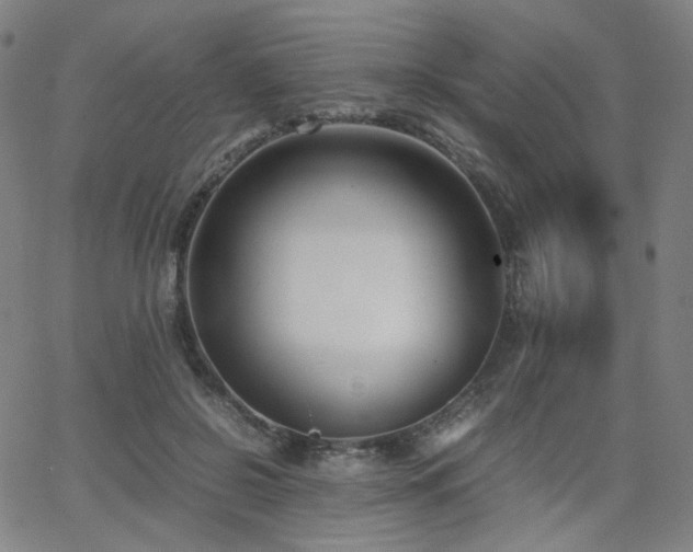 X0000063520550200601201435