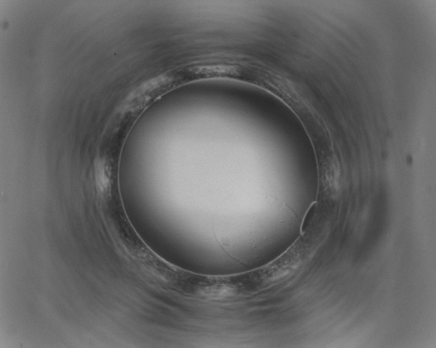 X0000063520551200601201435