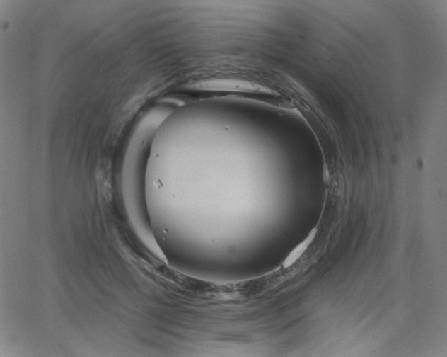 X0000063520552200601201436