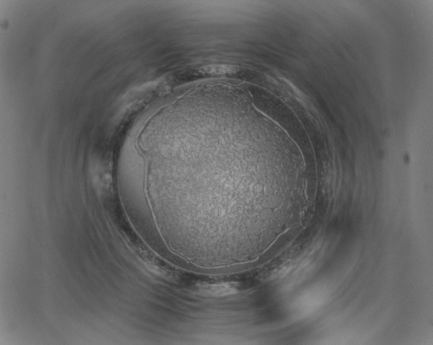 X0000063520553200601201436