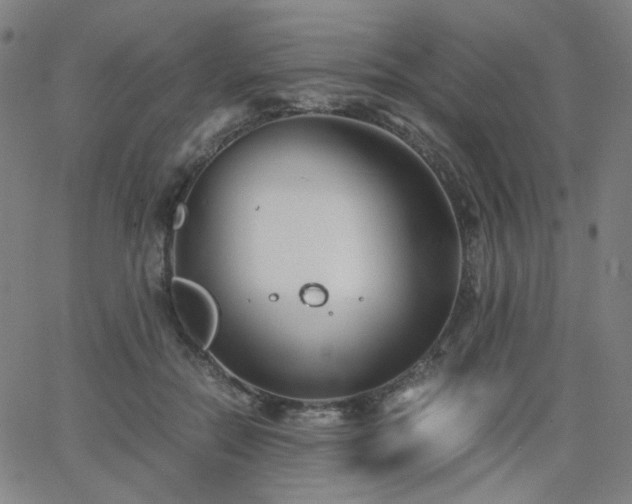 X0000063520554200601201436