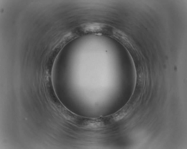 X0000063520555200601201436