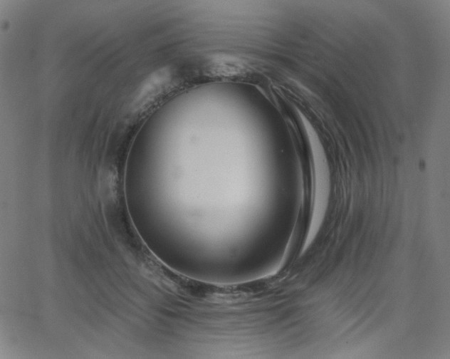 X0000063520556200601201436