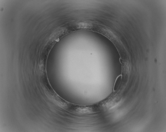 X0000063520557200601201436