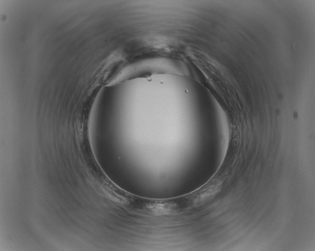 X0000063520558200601201436