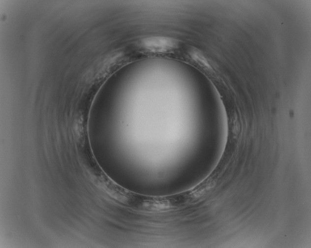 X0000063520559200601201436