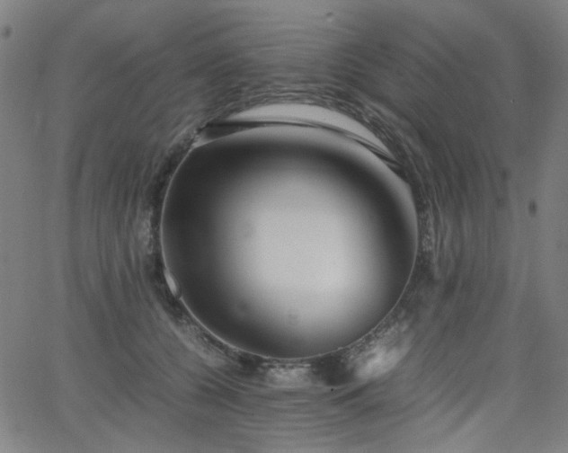 X0000063520560200601201436