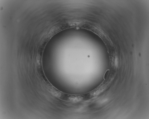 X0000063520561200601201436