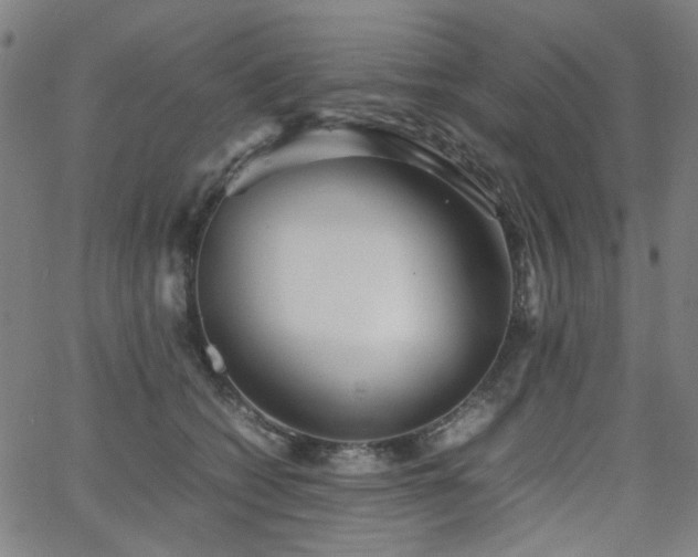 X0000063520562200601201436