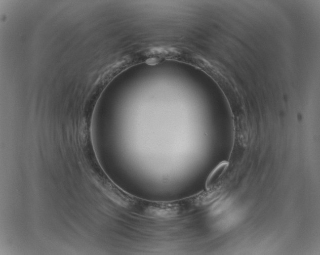 X0000063520563200601201436