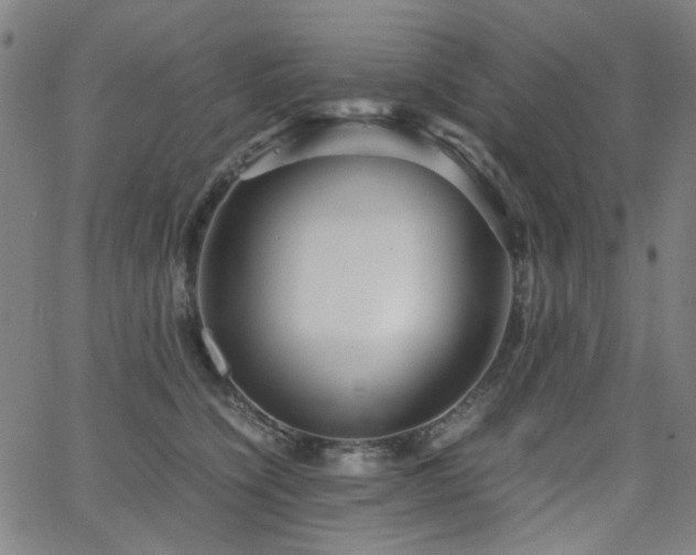 X0000063520564200601201436