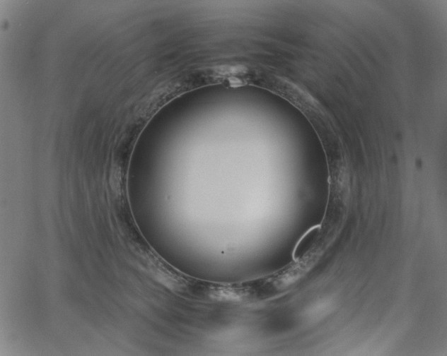 X0000063520565200601201436