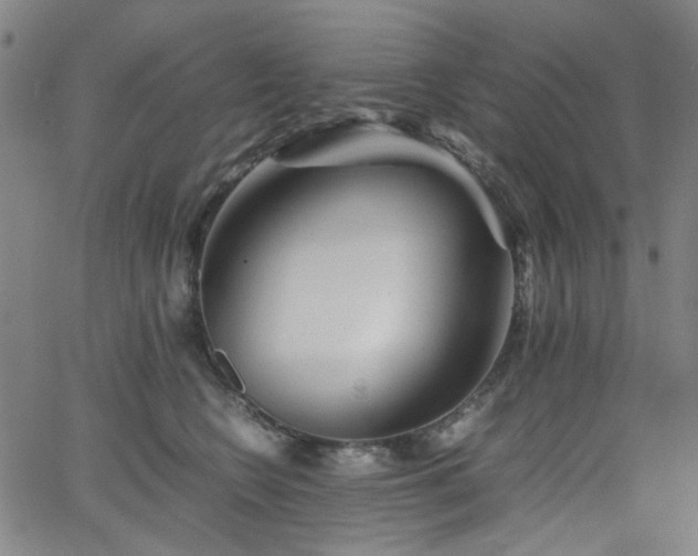 X0000063520566200601201436