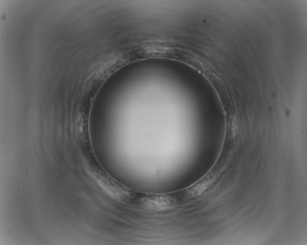 X0000063520567200601201436