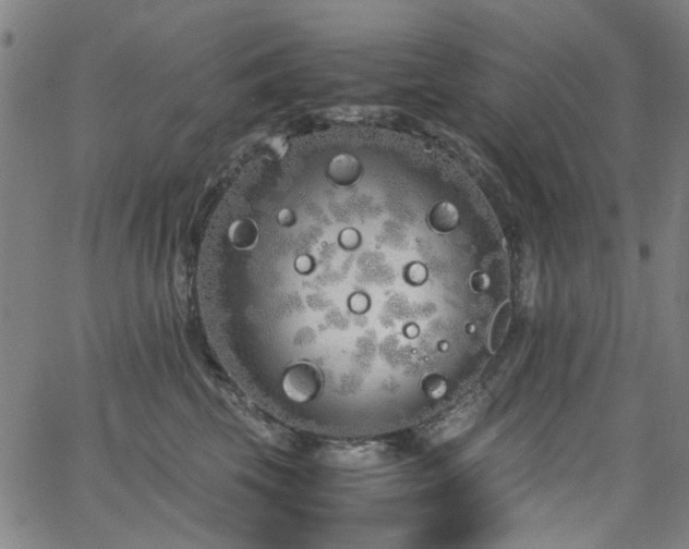 X0000063520569200601201436