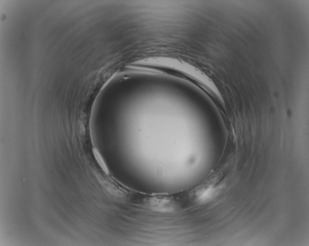 X0000063520570200601201436