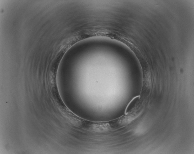 X0000063520571200601201436