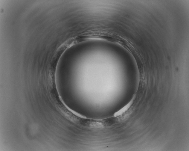 X0000063520572200601201436