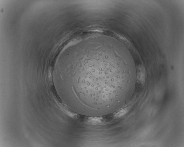 X0000063520573200601201436