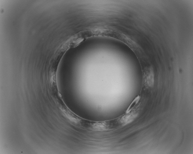 X0000063520574200601201436