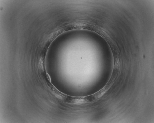 X0000063520575200601201436