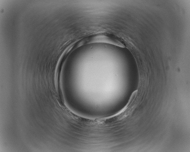 X0000063520576200601201436