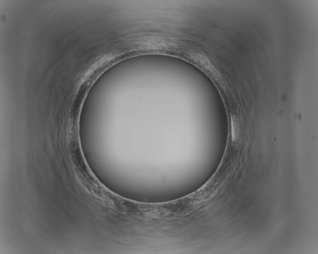 X0000063520579200601201435