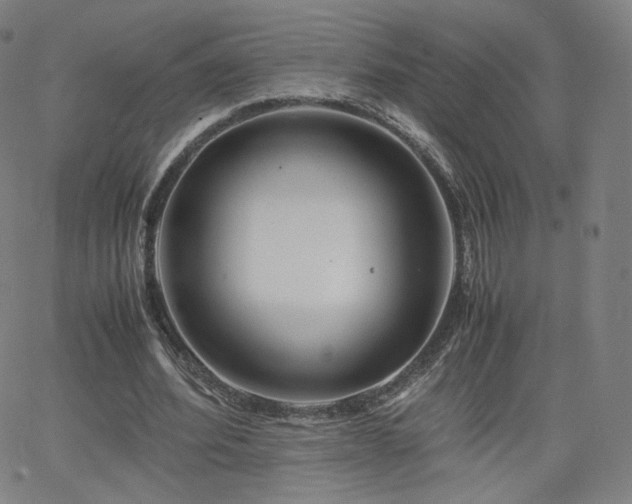 X0000063520580200601201435