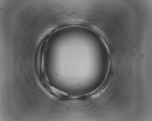 X0000063520581200601201435