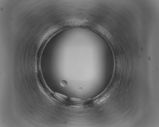 X0000063520582200601201435