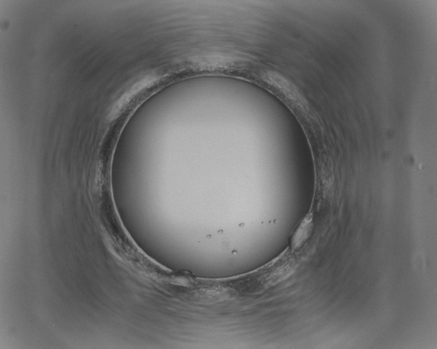 X0000063520583200601201435