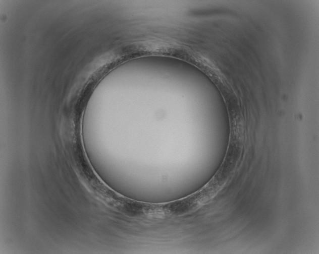 X0000063520587200601201435