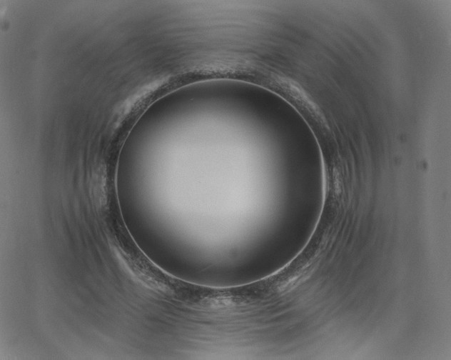 X0000063520588200601201435