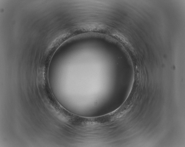 X0000063520590200601201435