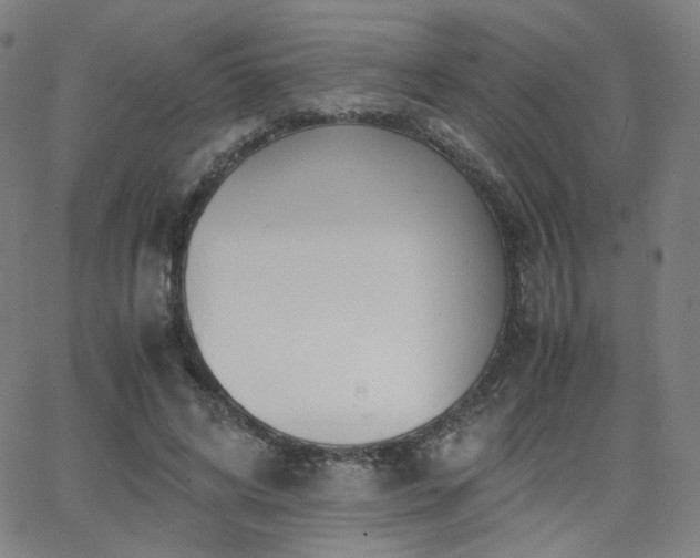 X0000063520592200601201435