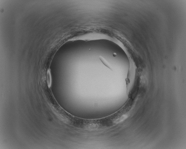 X0000063520593200601201435