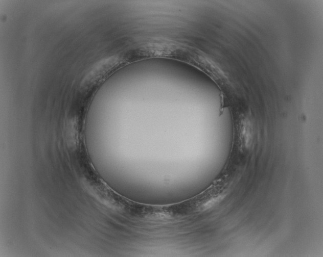 X0000063520594200601201435