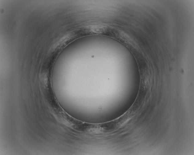 X0000063520595200601201435