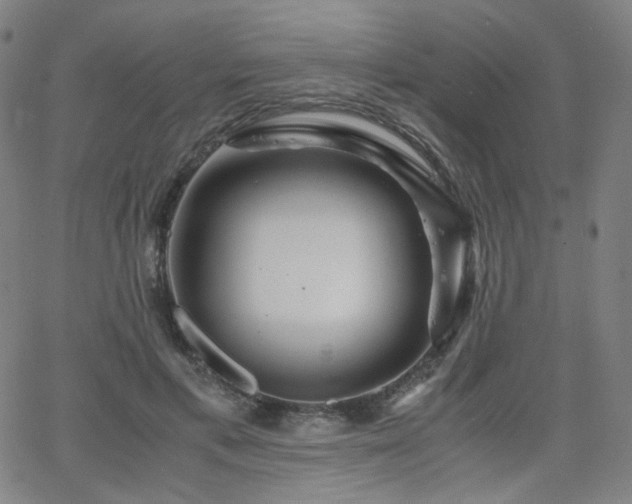 X0000063520597200601201435