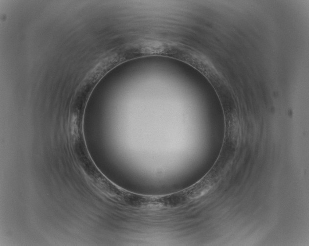 X0000063520598200601201435