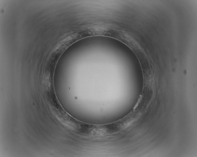 X0000063520599200601201435