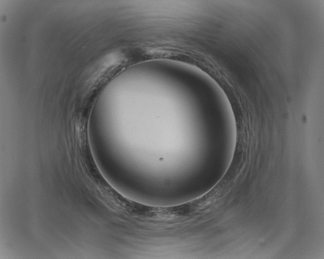 X0000063520601200601201435