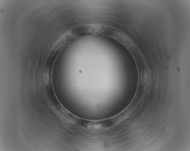 X0000063520602200601201435