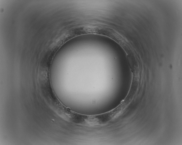 X0000063520603200601201435