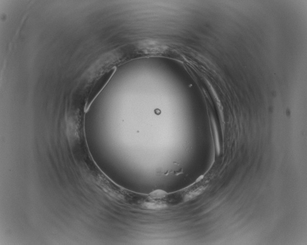 X0000063520604200601201435