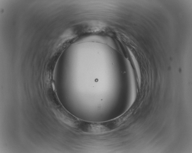 X0000063520605200601201435