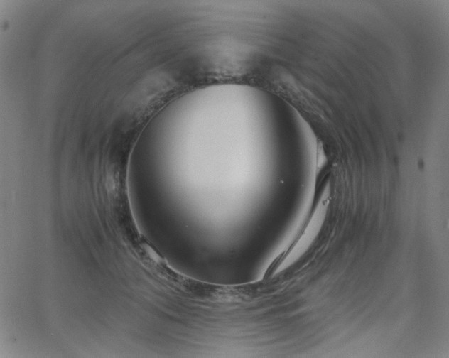 X0000063520608200601201435