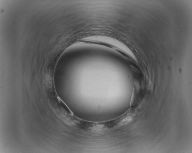 X0000063520609200601201435