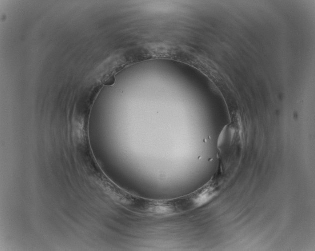 X0000063520610200601201435